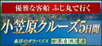 優雅な客船ふじ丸で行く 小笠原クルーズ
