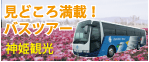 �_�P�o�X�̗�
